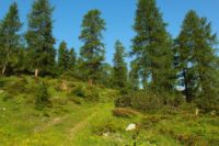 2015-07-04_1Binssattel (165).JPG